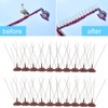 Bird Spikes 15 Feet Stainless Steel Pigeon Deterrent Spikes for
