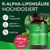 R-Alpha-Lipoic Acid- Thioctic Acid - 300 mg – 120 Capsules