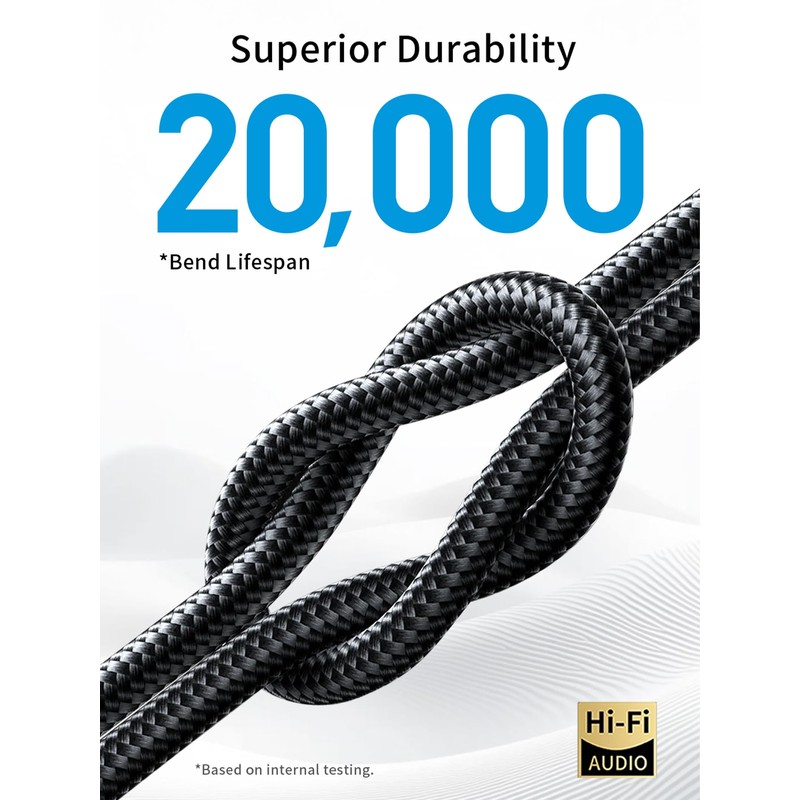 YYTCG HiFi USB C to RCA Audio Cable 3.28ft Type