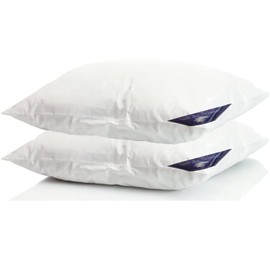 Set/2 900 g filling 80 x 80 cm 100% Natural Pillow Cushion Down Feather Down Pillows Duvet