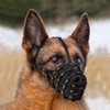MUROM Leather Dog Muzzle German Shepherd Adjustable Breathable Doberman Dalmatian
