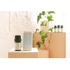 118 Days Natural Japanese Essential Oil Blend, Essential Oils, Japanese