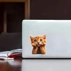 2 pcs Thinking Cat Funny Car Bumper Sticker,6 Inch Vinyl