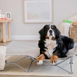 The Potable Pup Pet Bed for Home or On The Go, Gray