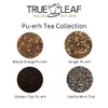 Ginger Pu-Erh Tea | Organic | True Leaf Tea |