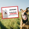 Samoyed Freilaufender Dog Sign with Saying Door Sign Dog Sign