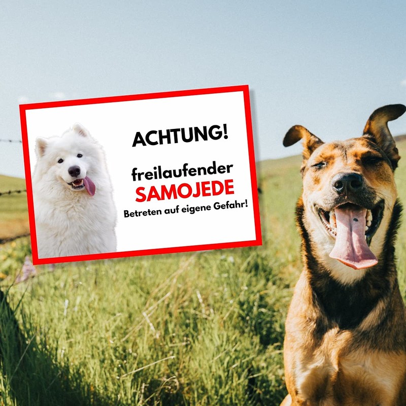 Samoyed Freilaufender Dog Sign with Saying Door Sign Dog Sign