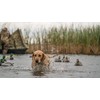 DOA Refuge Series Mallards 6pk.