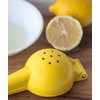 Fox Run 5539 Lemon Juicer, Manual