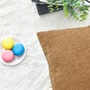 CaliTime Pack of 2 Cozy Throw Pillow Covers Cases for