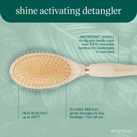 EcoTools Shine Activating Detangler Hairbrush, 1 Count