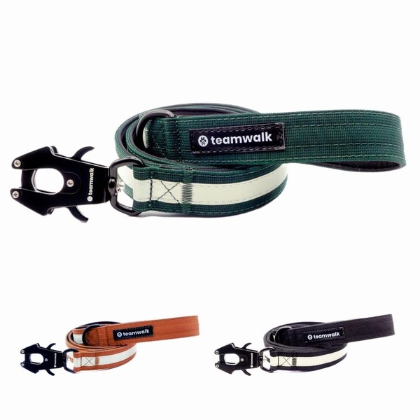 teamwalk® Premium Dog Lead with Luminous Strips, Soft Padding, Robust