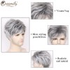 Creamily Wig for Men (E-Grey White Mix Black)