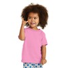 Precious Cargo Youth Side Seamed Taping Polo Shirts_Candy Pink_4T