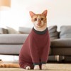 Cat Recovery Suit with Legs, Cat Onesie Cat Jacket Cat