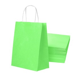 30PCS Light Green Small Gift Bags with Handles – Kraft Party Favor Bags for Holidays and Retail Shopping Bags Pass The Parcel Gifts Light Green Party Bag Lollies Kid Party Favour Bags,15x8x21cm