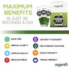Organifi: GO Packs - Green Juice - Organic Superfood Supplement
