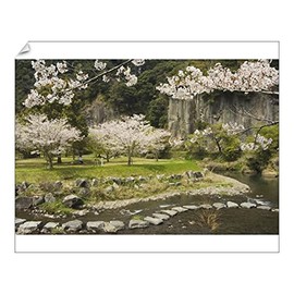 8R 10x8 Print of Spring Cherry Blossoms Near River with Stepping Stones (1174406)