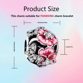 XWN Heart & Love Charm 925 Sterling Silver Beads for Birthday Jewelry Gifts for women girls