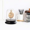 SELVA Glass Dome with Hook, for Dust-Free Storage of Pocket