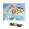 Distrifil Dolphin Trio Canvas Wall Art 6x8 inch