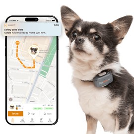 Pawfit Lite for Small Dogs 4g GPS Tracker | Real Time Tracking | Activity Monitoring |Location History | Unlimited Range | Charcoal Grey