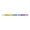 Midori Joint Dots 38136006 Rollerball Pen, 3-Color Connection, Pastel