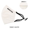 Briefing BRG211F55 Mask with Mask Case, Antibacterial, Odor Resistant, Hand