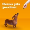 Pedigree Dentastix Small and Toy Breed Dog Treats, Fresh Flavor,