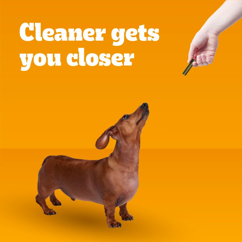 Pedigree Dentastix Small and Toy Breed Dog Treats, Fresh Flavor,