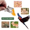 Parrot Feeder Clip, Bird Feeder Device, Durable Bird Feeder Accessories,