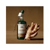 [Renewal] Ginger Scalp Care Scalp Serum 50ML (42587) / [리뉴얼]