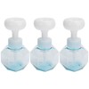 3Pcs PETG Flower Foam Bottle 300ml Mousse Pump Bottle Hand