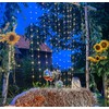hellum LED-Vorhang Kupferkabel Tauperlen Lichterketten-Vorhang Außen+Innen 300 warmweiße LED, 20
