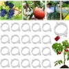 200 Pack Secured Plastic Plant Clips, 2024 Combinable Plant Support