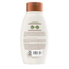 Aveeno Farm-Fresh Oat Milk Sulfate-Free Shampoo with Colloidal Oatmeal & Almond Milk, Moisturizing Shampoo for All Hair Types, Safe for Color-Treated Hair, Paraben & Dye-Free, 12 Fl Oz
