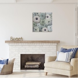 Stupell Industries Abstract Sea Urchins Canvas Wall Art by LSR Design Studio