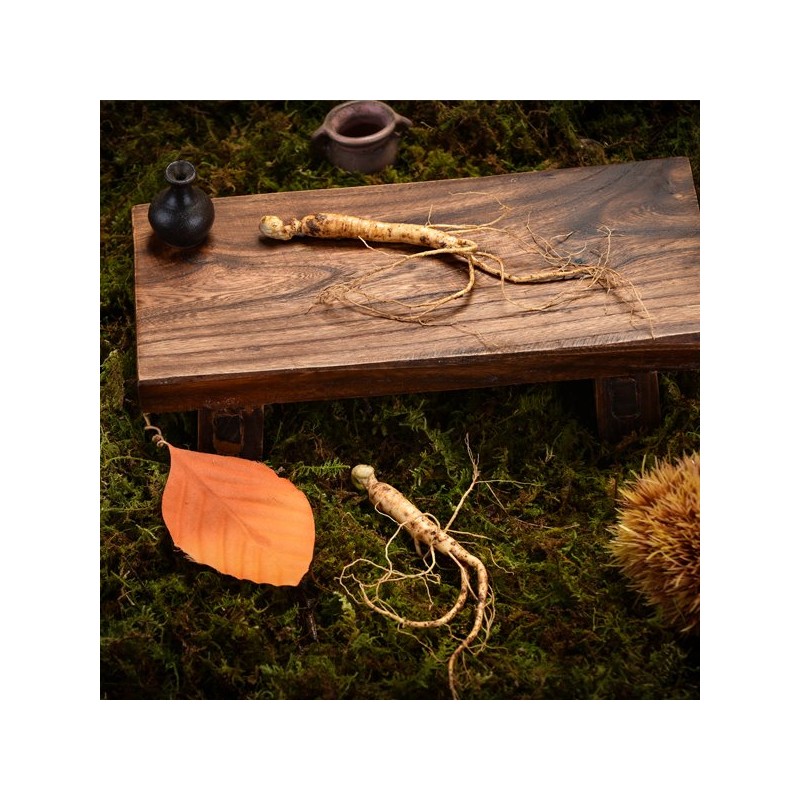 Sagudam [고급선물포장]심봤다 삼 산양산삼 산양삼 장뇌삼 선물세트 5뿌리 [Premium Gift