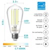 TJOY 6 Pack E26 Base Vintage LED Edison Light Bulbs,