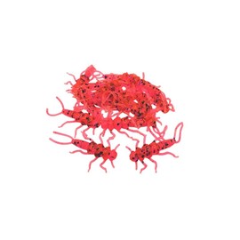 Creek Bugz (Stonefly) 1.375” - 15 pieces per pack - Artifical Fishing Baits Soft Plastic Fishing Lures - Trout, Bass, Perch, Crappie, Panfish - Color: Jelly Apple