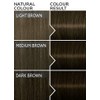 Schwarzkopf Color Expert 5.0 Medium Brown Permanent Hair Dye Duo