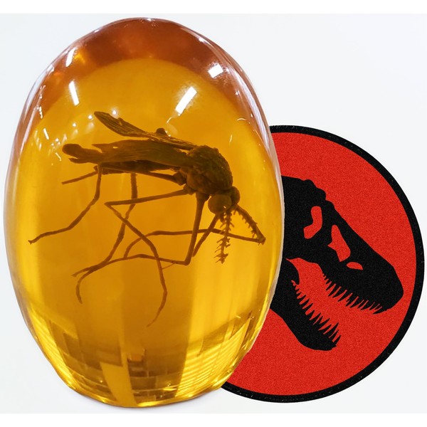 VEOJEIN VEOJEIN Jurassic 3D Mosquito in Amber Resin | True