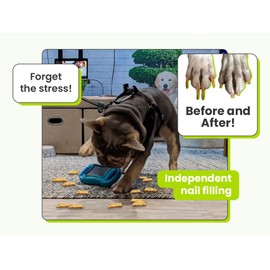 De' Vora Scratch Square - Dog Nail Scratch Board Treat Box | 5 in 1 Dog Scratch Pad for Nails | Dog Nail Scratch Board with Treat Box | Scratch Pad for Dogs Nail File | Dog Scratch Board XS/S