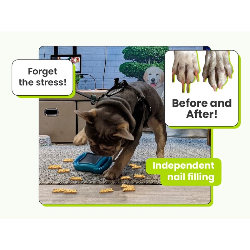 De' Vora Scratch Square - Dog Nail Scratch Board Treat