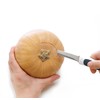 Zyliss E980171 Pumpkin Tool