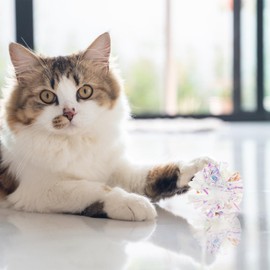 Cat Crinkle Balls, 5X Sound Making Kitten Toy, Funny Interactive Noisy Rolling Lightweight Portable Pet Supplies for Fetch Play Indoor Teasing Kitten Home Exercise