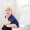 Round Toilet Seat with Built-in Toddler Seat - 2 Pack,