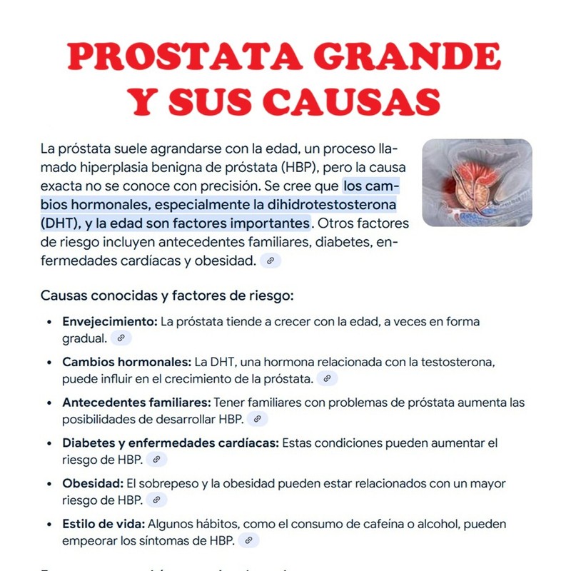 SUPPLEMENT4ME.COM NATURAL HELP FOR ENLARGED PROSTATE (BPH) - 100% HERBAL