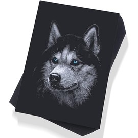 Crtiin 100 Sheets Black Sketch Drawing Paper Heavyweight 150 GSM /100 Lbs Artist Drawing Paper Sketchbook for Colored Pencil, Oil Pastel, Charcoal, Gel Pen, Chalk(9 x 12 Inches)