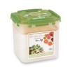 e-jen Probiotic Kimchi Sauerkraut Fermentation Container with Vacuum Lid Stoneware